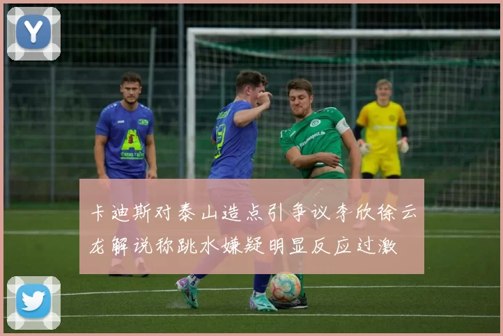 卡迪斯对泰山造点引争议李欣徐云龙解说称跳水嫌疑明显反应过激